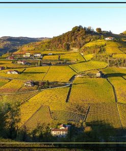 Rượu vang Ý Abbazia di S.Gaudenzio Cuvée Prestige Extra Dry, nét đẹp cổ điển tinh tế