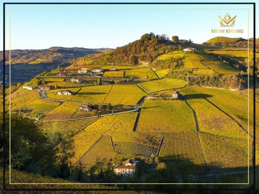 Rượu vang Ý Abbazia di S.Gaudenzio Cuvée Prestige Extra Dry, nét đẹp cổ điển tinh tế
