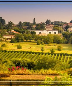 Rượu vang Pháp Chateau Belle Bergere Blaye-Côtes de Bordeaux thanh lịch và cuốn hút