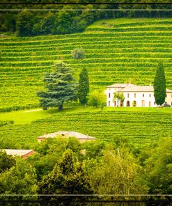 Château Cantemerle Haut-Médoc (Grand Cru Classé)