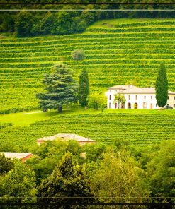 Château Léoville Poyferré Saint-Julien (Grand Cru Classé)