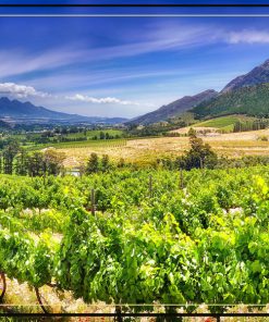 Errazuriz 150 Anos Edicion Aniversario Max Chardonnay