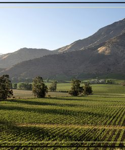 Rượu vang Chile Espiritu Indomito Gran Reserva Carmenere đẳng cấp