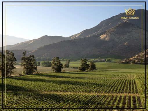 Rượu vang Chile Espiritu Indomito Gran Reserva Carmenere đẳng cấp