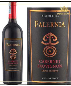 Rượu vang Chile Falernia Carmenère Gran Reserva kiêu sa khó cưỡng