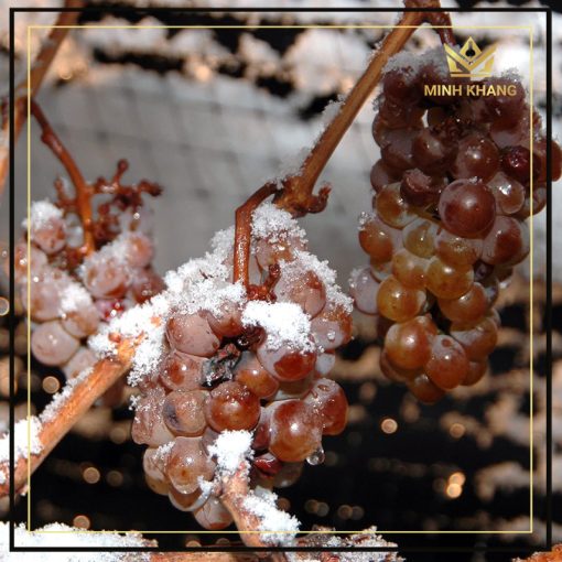 Rượu vang Canada Lakeview Cellars Gewürztraminer Icewine đầy ngọt ngào