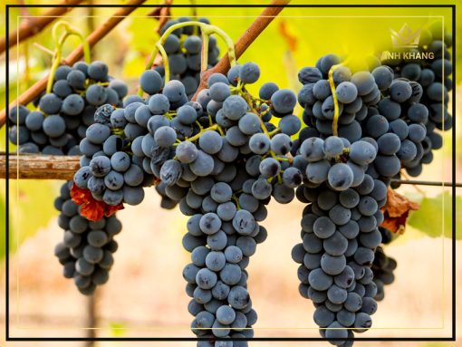 Ochotierras 10 Barricas Gran Reserva Syrah
