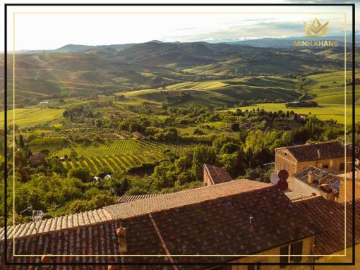 San Lorenzo Antàres Montepulciano d'Abruzzo Colline Teramane