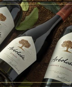 Arboleda Syrah là một loại rượu vang đầy hương vị và quyến rũ