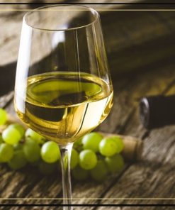 Raiz de Chile Sauvignon Blanc - rượu vang trắng không ngọt với hương vị sống động