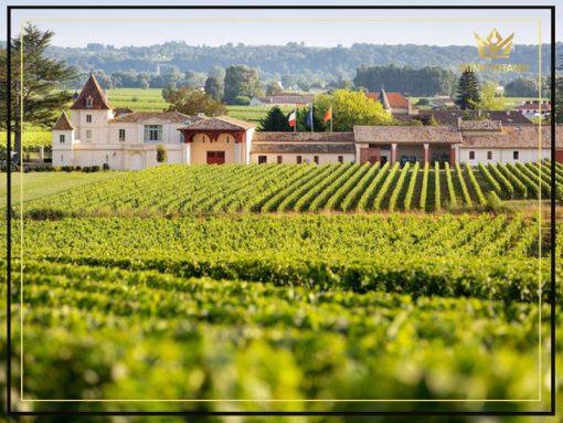 Saint-Emilion được xem như thiêng đường trồng nho tại Pháp.